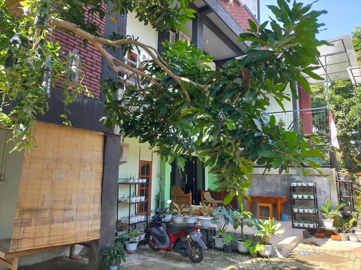 Cheap Inn Banyuwangi Banyuwangi  Exteriér fotografie